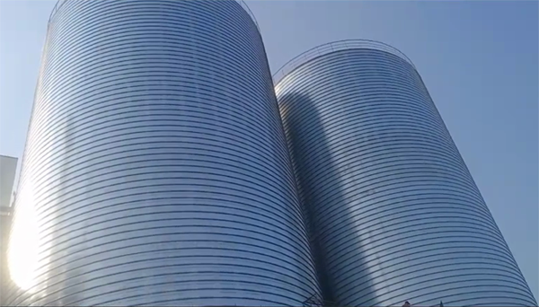 芜湖2座混凝土高架卷板仓